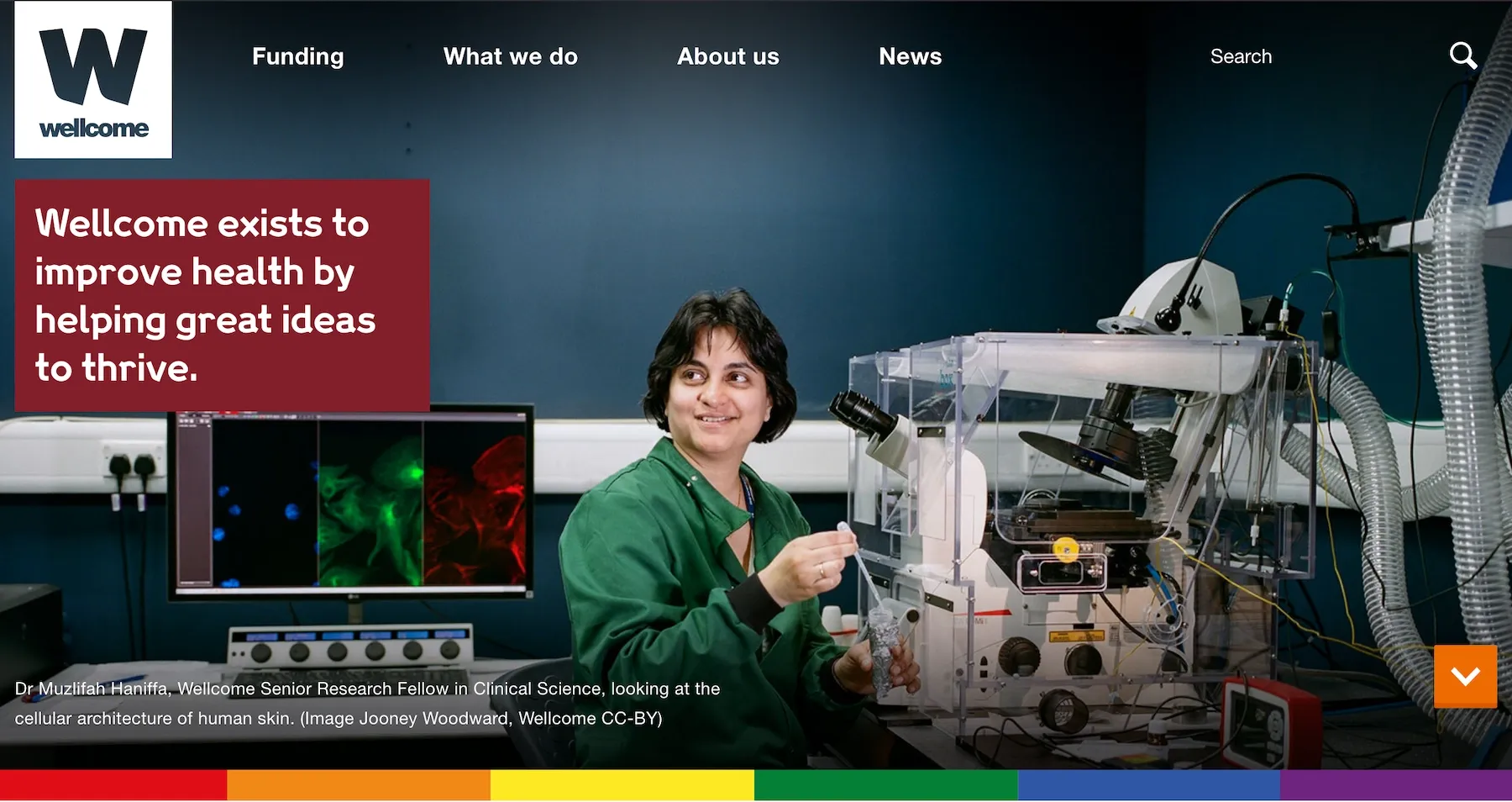 Screenshot of the Wellcome Homepage